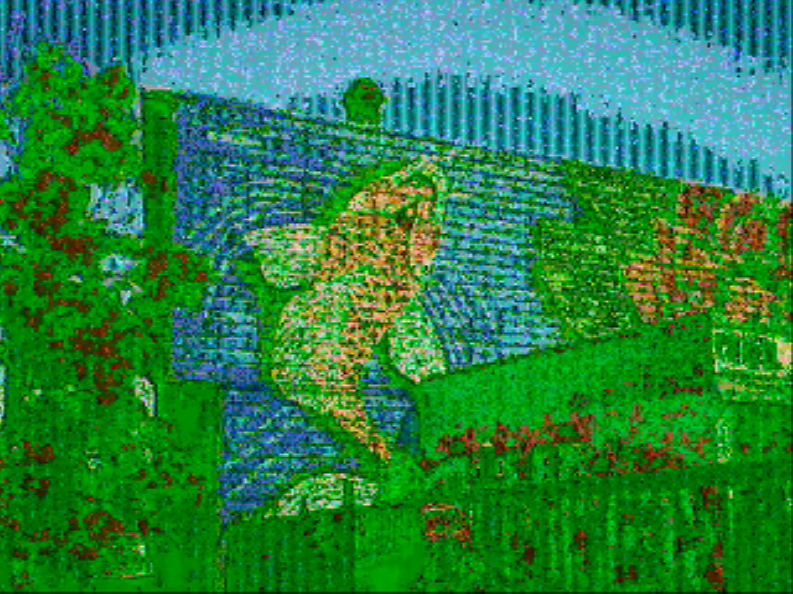 A sample glitch camera image taken of a graffiti koi fish mural