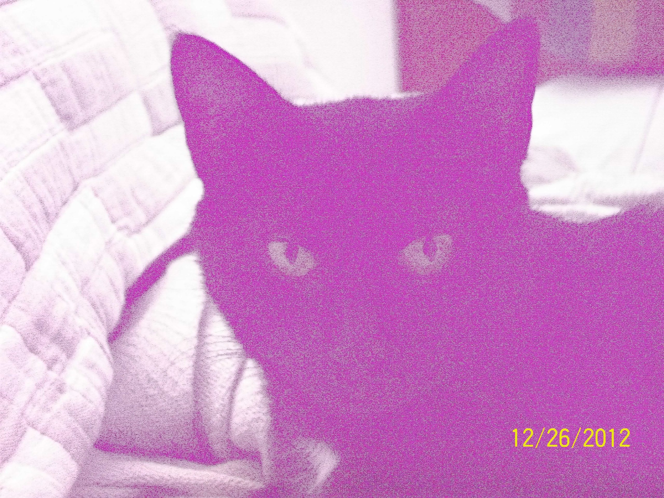 Sample photo taken with the Schrodinger Glitch Camera of a cat named Eros 1 of 2