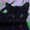 Sample photo taken with the Schrodinger Glitch Camera of a cat named Eros 2 of 2