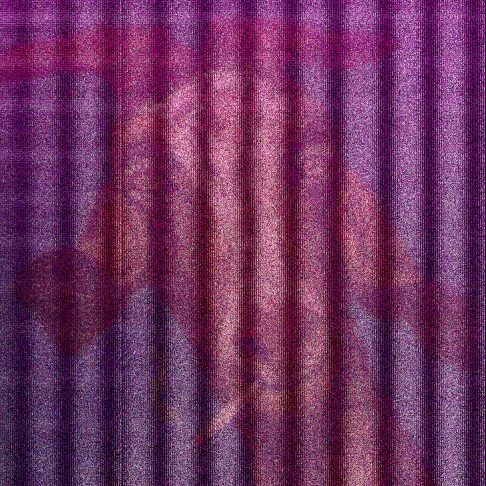 Sample photo taken with the Schrodinger Glitch Camera of a painting of a smoking goat