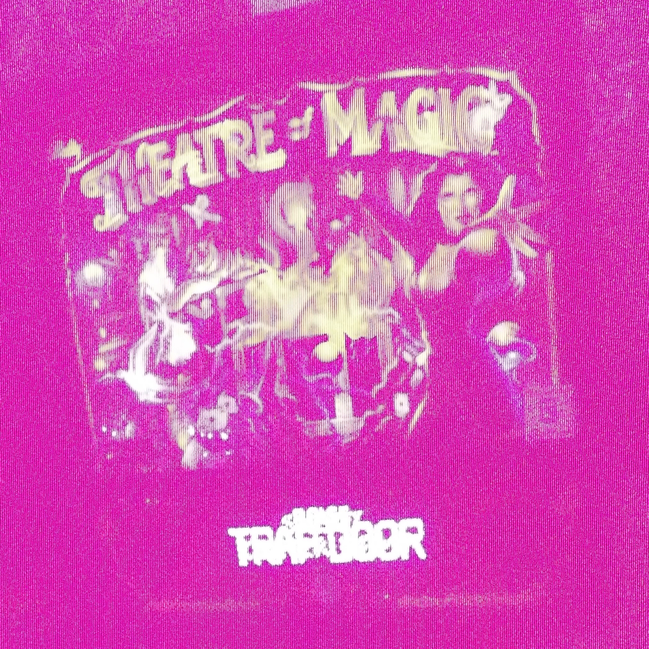 Sample photo taken with the Schrodinger Glitch Camera of a pinball machine called Theatre of Magic